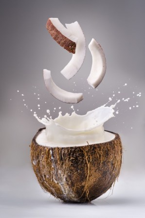 noce di cocco splash