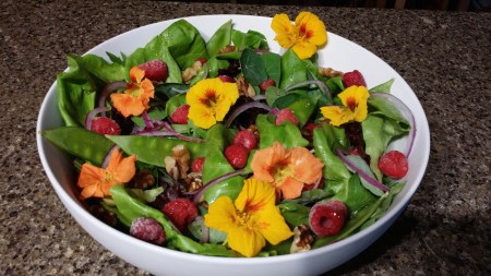 Nasturtium salad 4