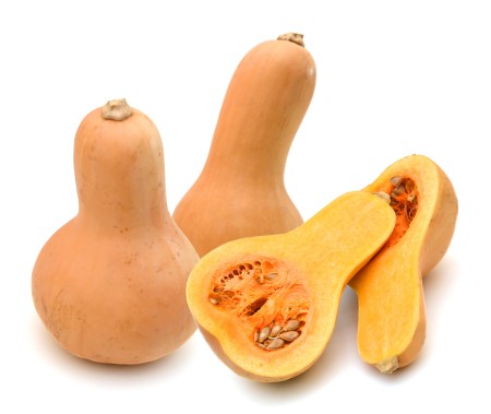 shutterstock_158283533