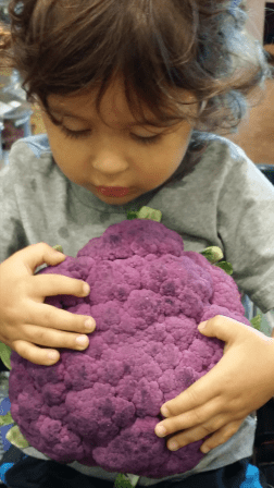 Bodhi and purble cauliflower