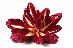 Radicchio Rosso 4