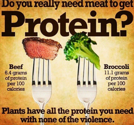 Screenshot_2014-12-16-17-46-35-1