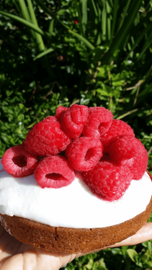 raspberry cake top 3.png