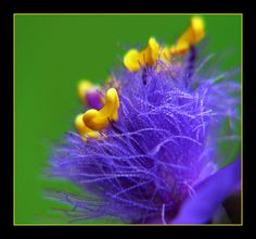 7e374759610ed66e6bc975beaf437d03