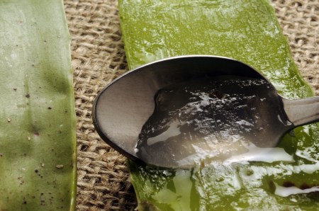 Aloe vera